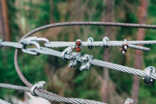 Steel cables drawn with each other against the forest.