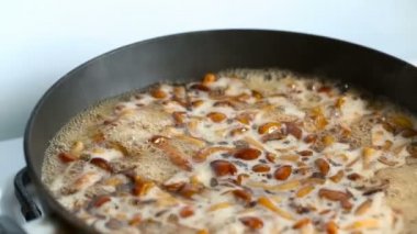 Bir tavada pişirilmiş mantar yemeği.