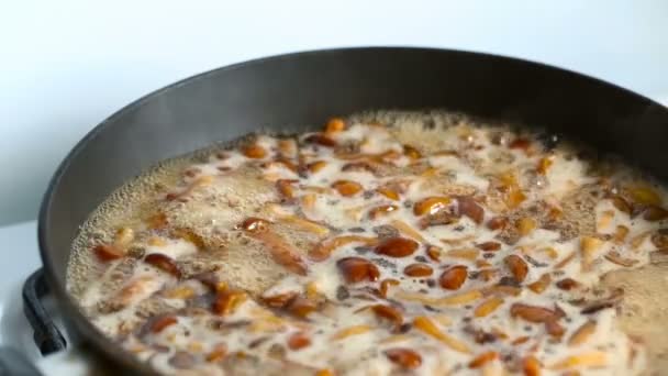 Schotel van champignons gekookt op een koekenpan. — Stockvideo