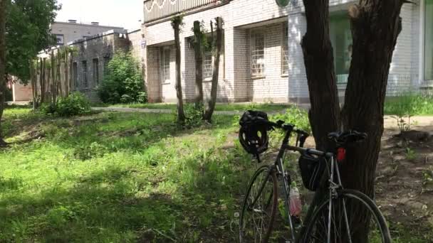 Ποδηλατοστάσια κοντά σε ένα δέντρο, με θέα το κτίριο τούβλα. — Αρχείο Βίντεο