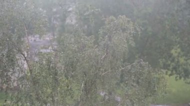 Güçlü rüzgar ve yağmur dışında