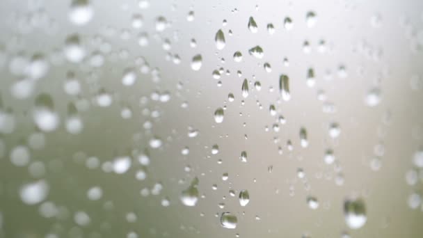 Drops of rain on the close-up window — Stock Video