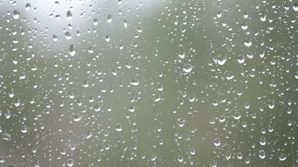 Drops of rain on the close-up window — Stock Video