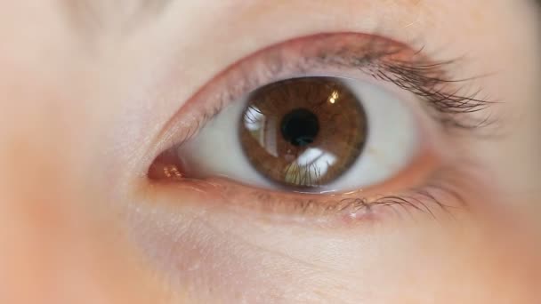Bruin oog macro close-up van een jonge vrouw. — Stockvideo