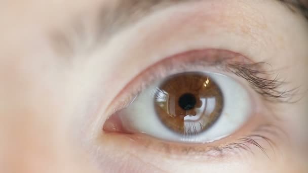 Brown eye macro close-up of a young woman. — Stock Video