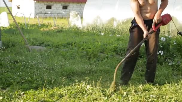 Rasenmäher mäht Gras — Stockvideo