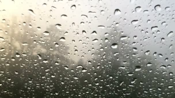 Lluvia fuera de la ventana — Vídeos de Stock