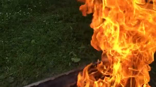 Elden flamma i grillen — Stockvideo
