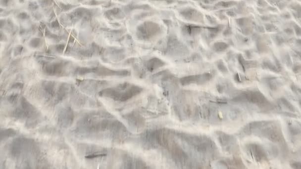 Promenade le long de la plage — Video