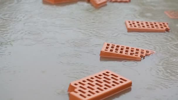Yağmur altında bir su birikintisi içinde tuğla — Stok video