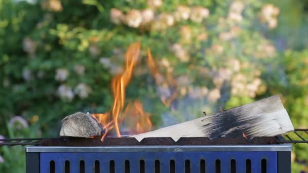 Holz brennt vor sommerlichem Hintergrund — Stockvideo