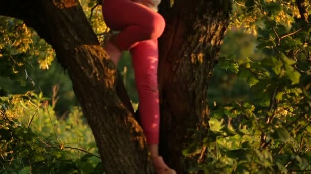 Fille descend de l'arbre — Video