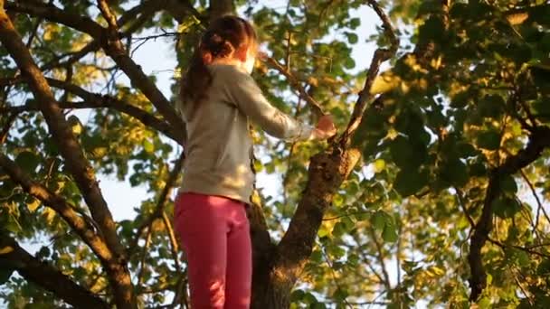 Dziewczyna idzie w dół z drzewa — Wideo stockowe
