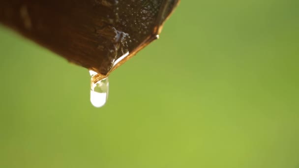 Wasser tropft von einem Stück Holz Nahaufnahme auf einem grünen Hintergrund — Stockvideo