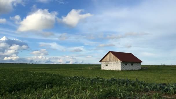 Casa solitaria en el campo — Vídeo de stock