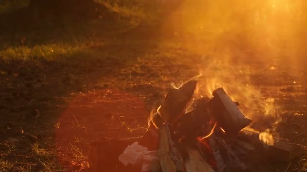 Campfire al tramonto primo piano — Video Stock