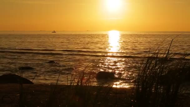 Praia selvagem ao pôr do sol — Vídeo de Stock