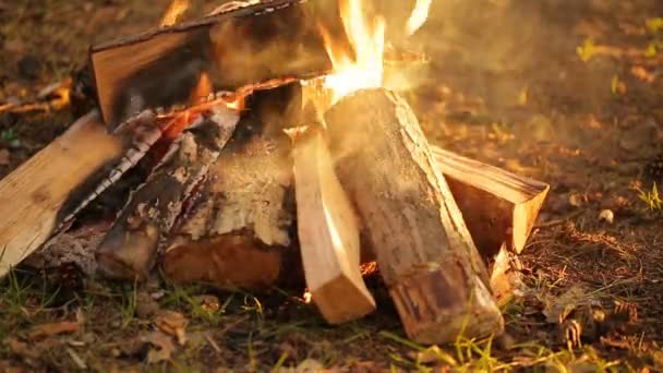 Campfire close-up outdoors — Stock Video
