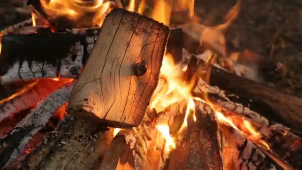 Γκρο πλαν campfire σε εξωτερικούς χώρους — Αρχείο Βίντεο