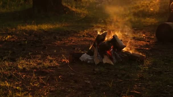 Kampvuur bij zonsondergang closeup — Stockvideo