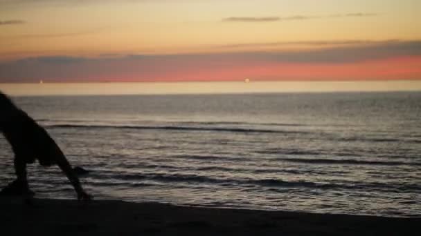 Voltereta en la playa, silueta al atardecer — Vídeos de Stock