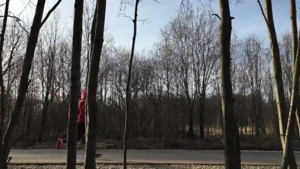 Idrottsman i rött till kläder körs på asfalt och kameran tar bort honom i skogen. — Stockvideo
