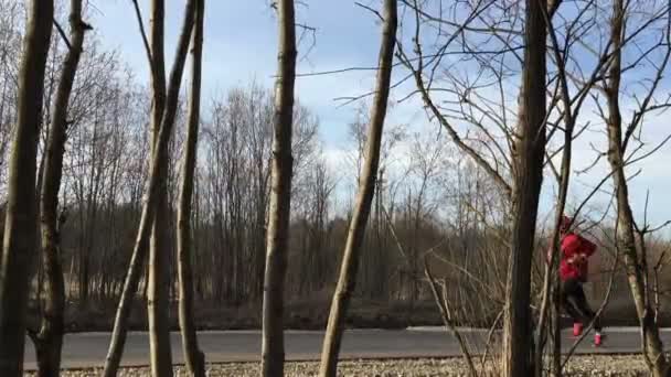 Atleta in rosso ai vestiti corre su asfalto e la fotocamera lo rimuove essere nella foresta . — Video Stock