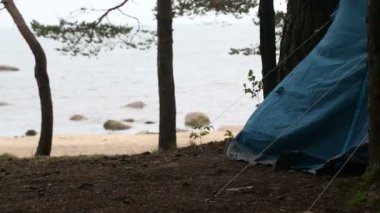 Turist çadırı gölün ormanda