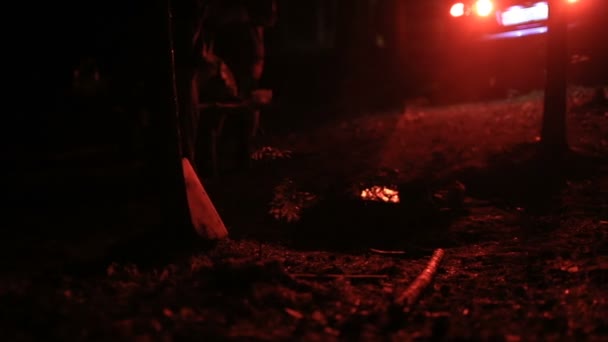 Ormanın içinde gece çekimi — Stok video