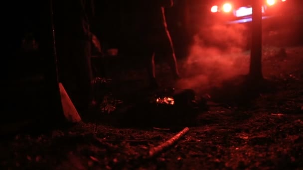 森の中の夜のシーン — ストック動画