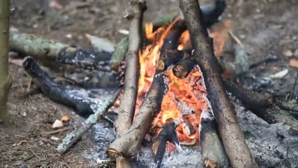 Soep koken in een pot op het vuur — Stockvideo