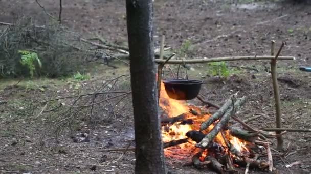 Cuisson de la soupe dans une casserole sur le feu — Video