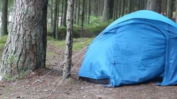 Toeristische tent in het bos — Stockvideo