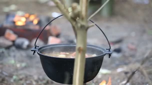 Matlagning soppa i en gryta på elden — Stockvideo