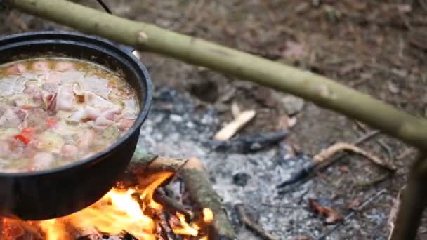 Soep koken in een pot op het vuur — Stockvideo