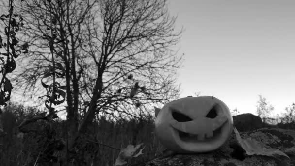 Linterna de calabaza de miedo . — Vídeos de Stock