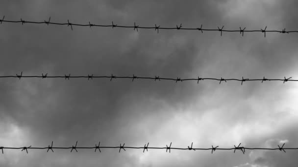 Timelapse of barbed wire against sky. — Stock Video