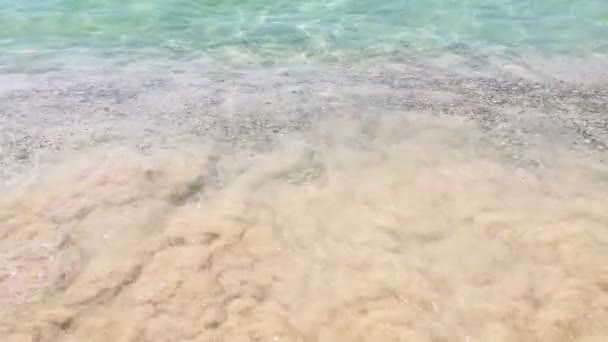 Dalgalar ve kum plaj portre üzerinde. — Stok video