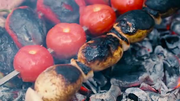 Espetos de legumes na churrasqueira . — Vídeo de Stock