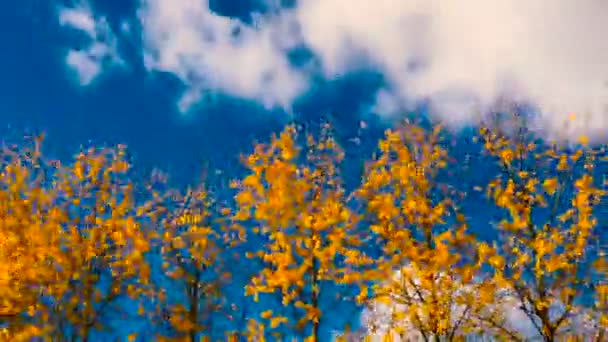 Timelapse météo d'automne . — Video