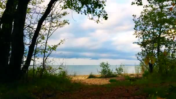 Timelapse vista del paisaje desde el bosque . — Vídeos de Stock