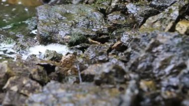 Şelalenin yakınındaki güçlü akım