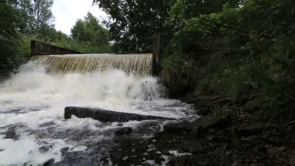 Водопад в лесу — стоковое видео