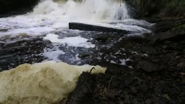 Waterval in het bos — Stockvideo