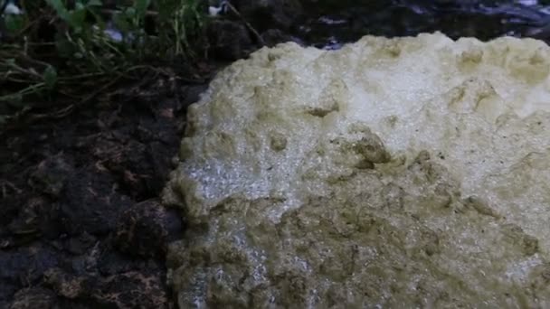 La espuma del río se balancea en el viento — Vídeos de Stock