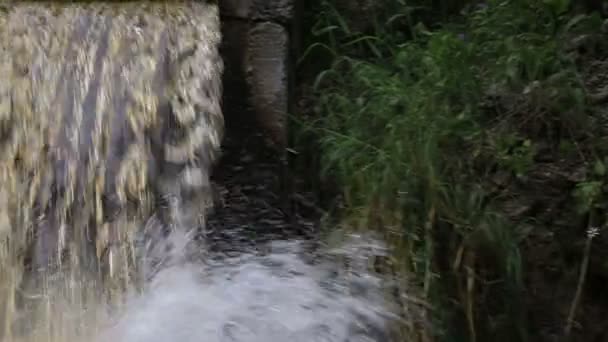 Wodospad w lesie — Wideo stockowe