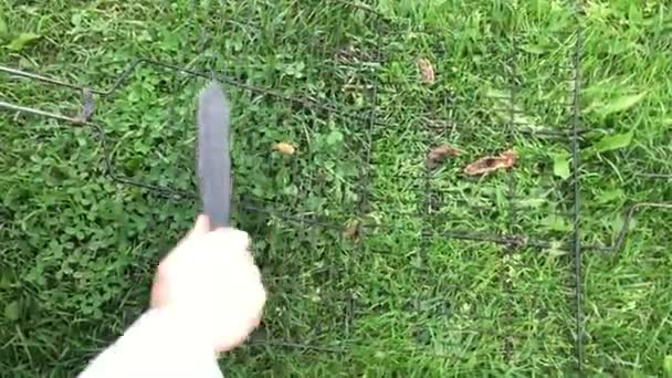 Cleaning lattice grill on the lawn — Stock Video