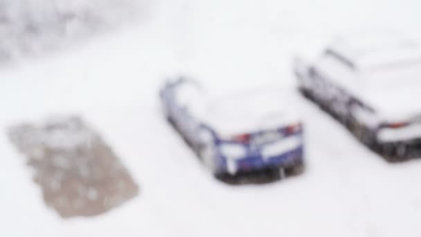 Sneeuwval op de achtergrond van de geparkeerde auto 's — Stockvideo