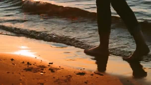 Caminhar ao longo da praia ao pôr do sol. Pernas fechadas — Vídeo de Stock