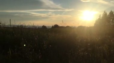 Araba ile seyahat. Sürüş sırasında pencere görünümünden